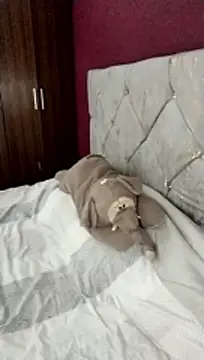 Snapshot of cieloking09 chatting on February 28, 2026, 6:35 am cieloking09 online show from February 28, 2026, 6:35 am