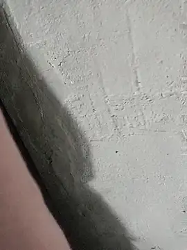 pn12345 online show from October 27, 2025, 7:42 am