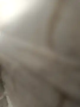 pn12345 online show from December 4, 2025, 4:11 am