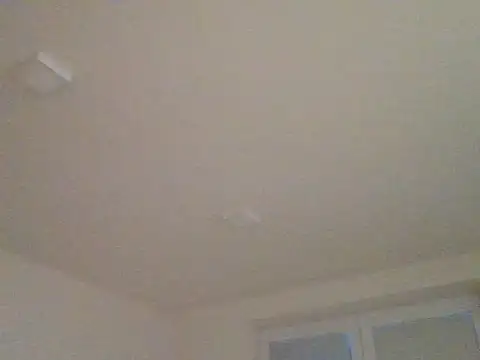 czechguy online show from October 24, 2025, 4:06 pm