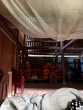 jerry-xx online show from December 2, 2025, 8:05 am