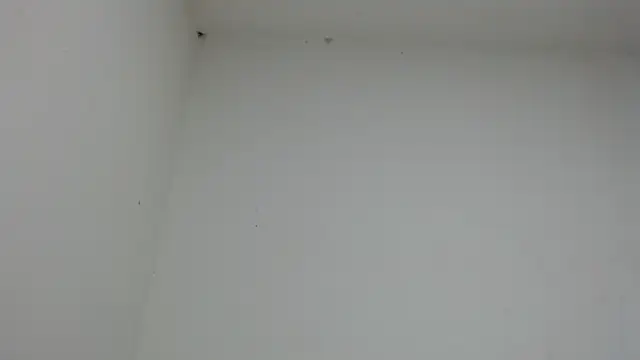 drako monster online show from January 17, 2026, 10:46 pm