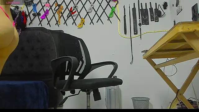 emilyfreire online show from November 11, 2025, 12:55 pm