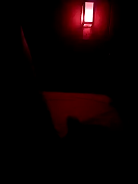 Picamacia20 online show from January 15, 2026, 8:29 am