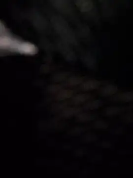 BeppeRagnar online show from March 27, 2026, 8:26 am