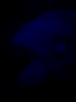 sexdol2 online show from July 25, 2026, 3:58 am