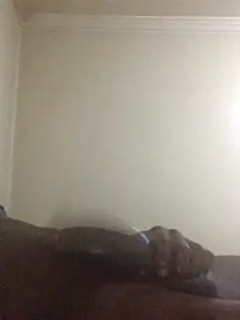 Sahrawi-fhal online show from October 27, 2025, 12:44 am