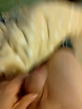 Graimito online show from March 3, 2026, 3:41 pm