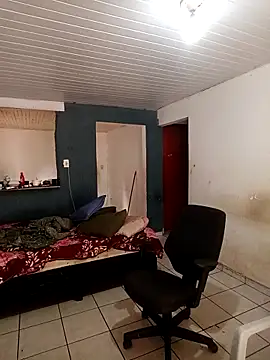 RuivoDotado24cm online show from February 9, 2026, 12:47 pm