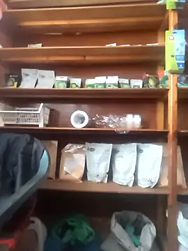 szabi1995 online show from January 10, 2026, 8:09 am