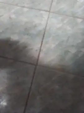 rgsnakan online show from January 15, 2026, 3:26 pm