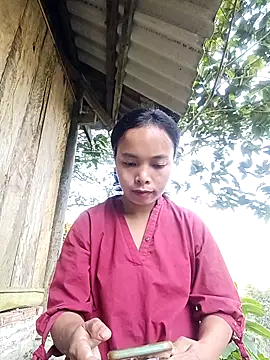 Nguyet2k4 online show from November 25, 2025, 1:06 am