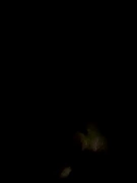 an-show online show from December 4, 2025, 1:04 am