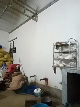 Myzak- online show from November 26, 2025, 10:59 am