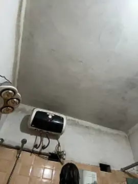 panda-bae online show from December 2, 2025, 1:24 pm