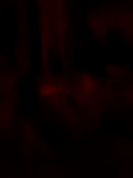 goloso80 online show from May 22, 2026, 2:53 am