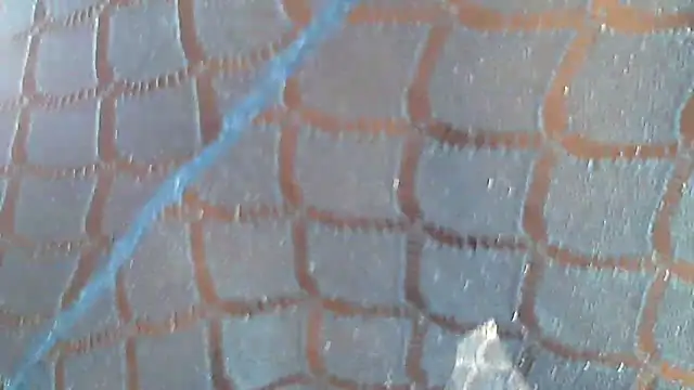 Hotcougar online show from March 8, 2026, 5:44 am