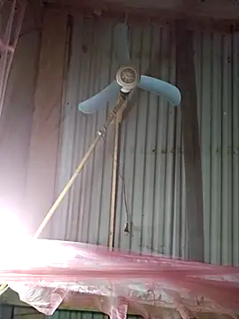 Squirrel-Pear online show from December 4, 2025, 12:26 pm