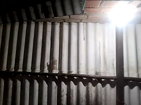 AfroditaSweetxh online show from January 10, 2026, 10:32 am