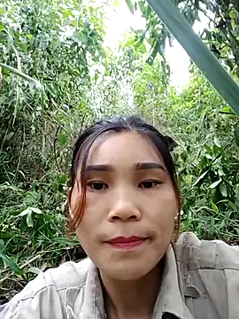 Bear bear0 online show from November 3, 2025, 7:35 am