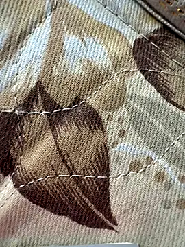 cheems232 online show from November 28, 2025, 8:14 am