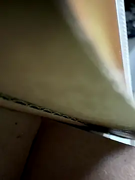 cheems232 online show from November 26, 2025, 7:47 pm