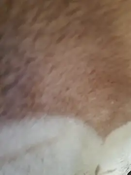 Snapshot of Perfect_size chatting on November 20, 2025, 8:59 am Perfect size online show from November 20, 2025, 8:59 am