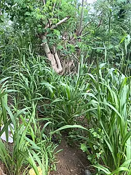 couplesexroom online show from October 21, 2025, 10:58 am