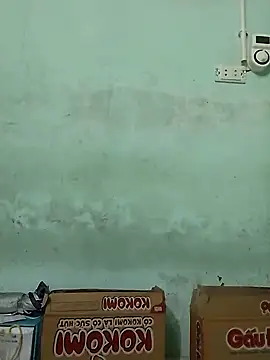 Snapshot of _LAN_ chatting on November 11, 2025, 1:00 am LAN online show from November 11, 2025, 1:00 am