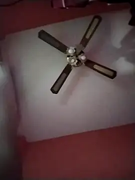 Danii2005 online show from December 4, 2025, 1:54 pm