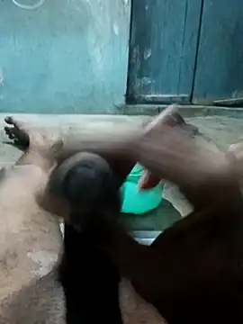 naveen 3222 online show from November 25, 2025, 4:07 pm