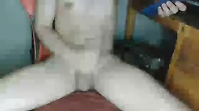 DevilDgrim online show from May 25, 2026, 1:16 am