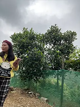 Snapshot of Irin_jo chatting on February 10, 2026, 3:16 am Irin jo online show from February 10, 2026, 3:16 am