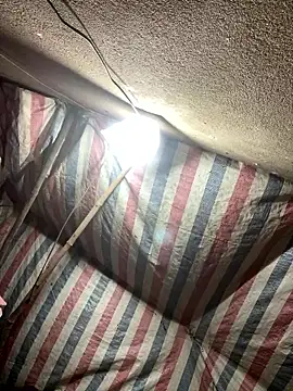 love-xx online show from January 17, 2026, 11:25 am