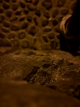 Rico1 1 online show from November 19, 2025, 11:38 pm