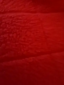 kendra666 online show from October 27, 2025, 6:20 pm