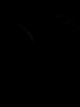 Smithy095 online show from November 1, 2025, 9:52 pm