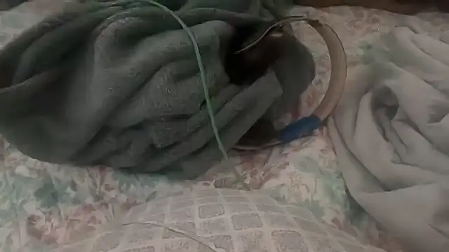 goonwatchin online show from October 23, 2025, 2:27 pm