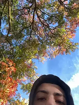 slimshadypt2 online show from November 10, 2025, 4:34 pm