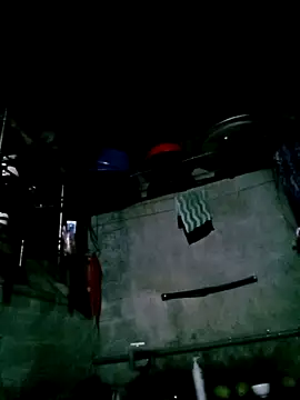 Noelle-e online show from February 4, 2026, 11:38 am