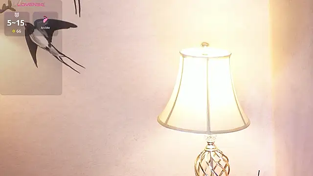 MissyFoxyy online show from February 25, 2026, 3:51 am