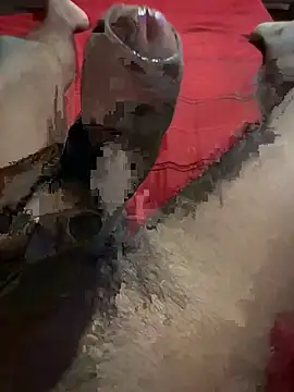 Snapshot of vijay20k chatting on March 3, 2026, 8:16 pm vijay20k online show from March 3, 2026, 8:16 pm