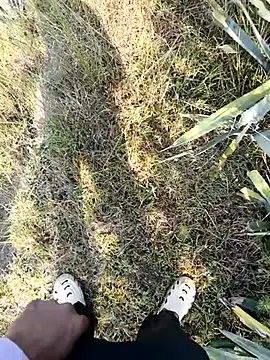 devil boy 0909 online show from November 13, 2025, 4:38 am