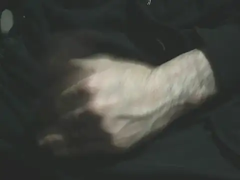 Snapshot of giovanift111 chatting on January 10, 2026, 12:50 am giovanift111 online show from January 10, 2026, 12:50 am