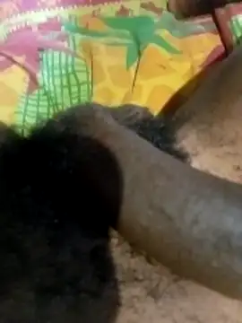 liketosex4 online show from February 17, 2026, 12:46 pm