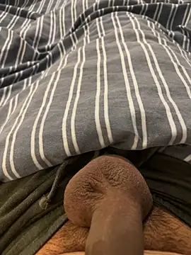 CurvyDicky8 online show from November 13, 2025, 11:30 pm