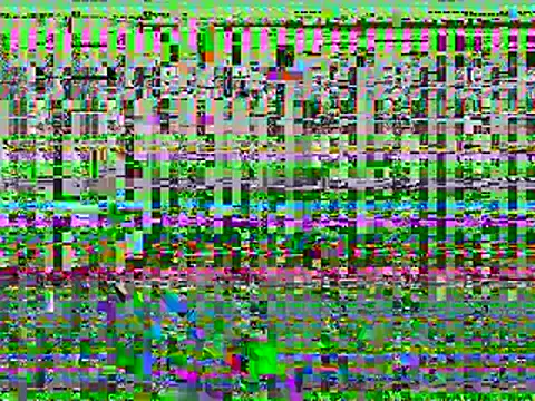 Dyskizly online show from February 22, 2026, 5:43 am