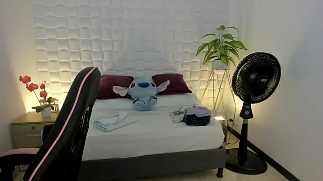 victoria 243 online show from February 16, 2026, 4:22 am