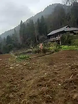 tian7788 online show from February 17, 2026, 2:53 am