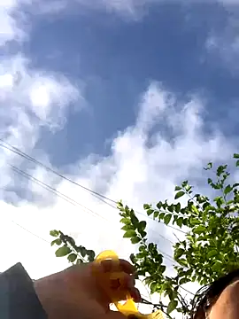 bi-bo123 online show from November 23, 2025, 1:26 am